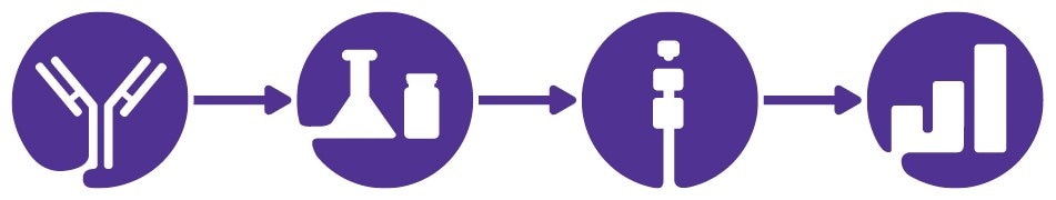 Image Depicting Workflow for Antibody Aggregates and Fragments Analysis