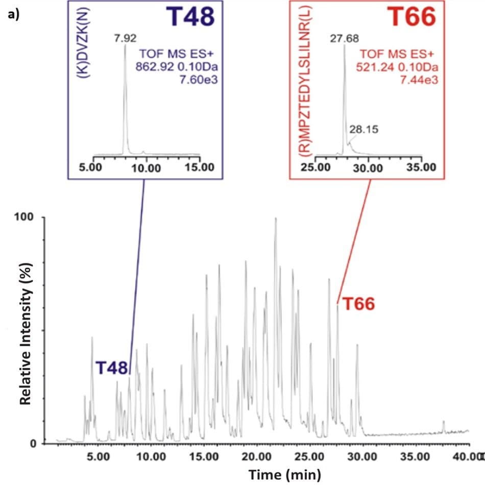 Peptide maps of the BSA tryptic digest using C18 RPLC A base peak chromatogram representing peptide mapping of a bovine serum albumin (BSA) tryptic digest analyzed using a C18 reversed-phase liquid chromatography gradient. The x-axis shows retention time in minutes ranging from 0 to 40, while the y-axis represents relative intensity in percentage, scaling from 0 to 100. Two labeled peaks are highlighted on the chromatogram, corresponding to peptide fragments T48 and T66. T48 appears at a retention time of 7.92 minutes and is shown in an inset with the peptide sequence (K)DVZK(N), a molecular weight of 862.92 Da, and a TOF MS ES+ signal of 7.60e3. T66 elutes later, at 27.68 minutes, and its inset displays the sequence (R)MPZTEDYLSLILNR(L), with a molecular weight of 521.24 Da detected as a doubly charged ion, and a TOF MS ES+ signal of 7.44e3. The insets provide zoomed views of their respective ion chromatograms, including start and end times for the elution peaks, overlaid above the corresponding sections of the full chromatogram.