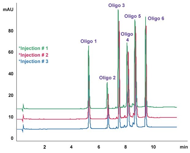 Oligo Standard 6 separation on Chromolith® High Resolution RP-18e, 50 x 2.0 mm column An overlay of three injections showing Oligo Standard 6 separation on Chromolith® High Resolution RP-18e, 50 x 2.0 mm column with 5 µL of injection volume