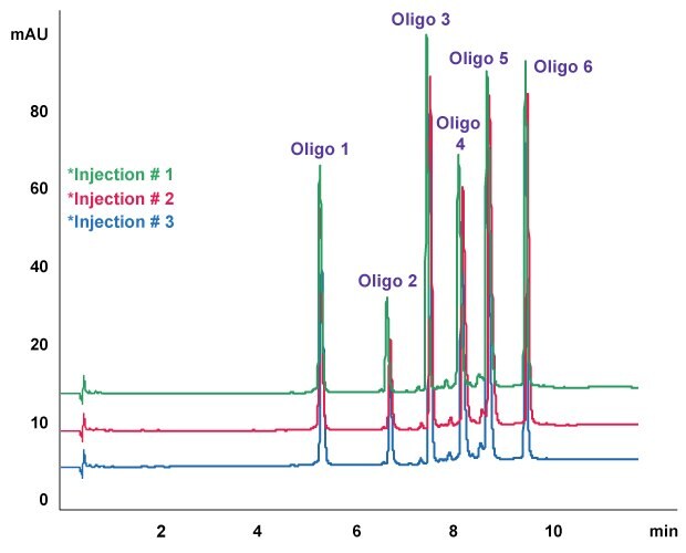 An overlay of three injections showing Oligo Standard 6 separation on Chromolith® High Resolution RP-18e, 50 x 2.0 mm column with 5 µL of injection volume