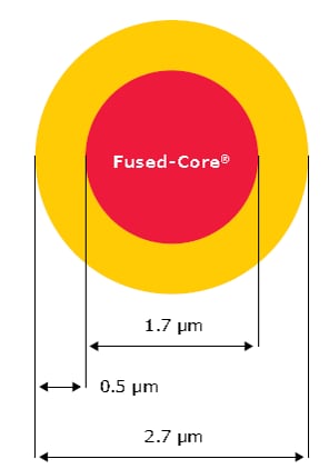 2.7 µm SPP particle with 1000 Å pores Ideal for separation of large protein