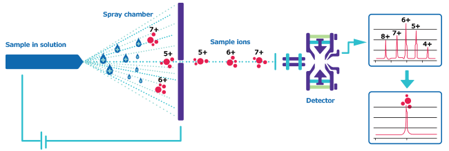 A schematic for ESI-MS (electrospray ionization mass spectrometry).