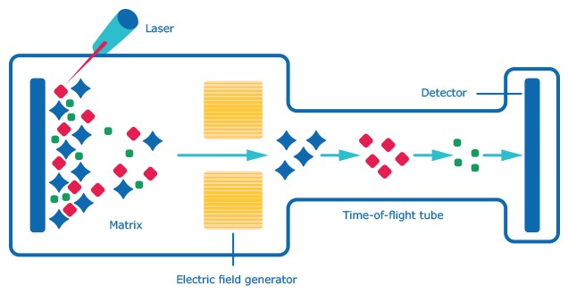 Schematic for <a href="/CN/en/technical-documents/technical-article/genomics/qpcr/custom-dna-oligos-qc-analysis-by-mass-spectrometry">MALDI-TOF MS</a> (matrix-assisted laser desorption/ionization-time of flight mass spectrometry Schematic for MALDI-TOF MS (matrix-assisted laser desorption/ionization-time of flight mass spectrometry