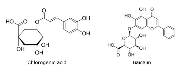 Chemical structures of chlorogenic acid and baicalin 2-D chemical structures (bond line structure) of chlorogenic acid and baicalin used to measure analytes in compounded Lonucerae Japonicae Flos using a Discovery® HS C18