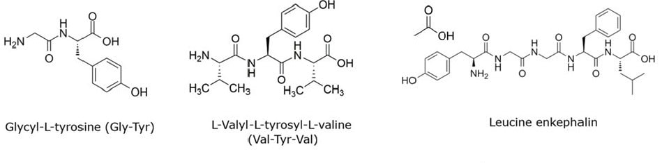 Structures of three peptides Chemical structures of Gly-Tyr, Val-Tyr-Val, and leucine enkephalin peptides in HPLC standard mix.