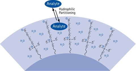 Hydrophilic Interaction Liquid Chromatography The HILIC partitioning process causing chromatographic retention.