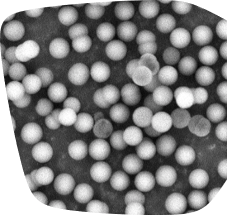 Scanning electron microscope (SEM) image of the Supel™ Carbon LC particles