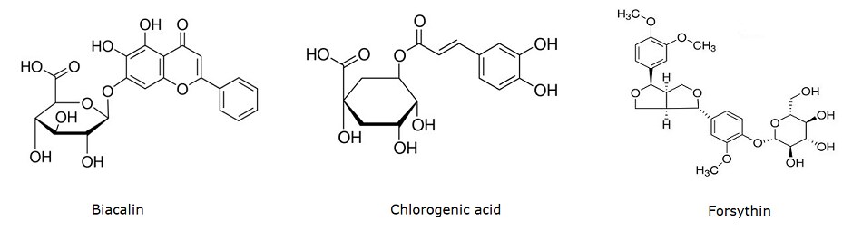 The image displays the chemical structures of three compounds: Baicalin, Chlorogenic Acid, and Forsythin. Baicalin, on the left, features a multi-ring system with several hydroxyl (OH) groups and a carboxyl (COOH) group. In the center, Chlorogenic Acid's structure includes a central hexane ring, multiple hydroxyl groups, and a carboxyl group. On the right, Forsythin's structure is the most complex, showcasing multiple rings, hydroxyl groups, and methoxy groups (OCH3). Each structure is labeled with its respective compound name below it, and they are depicted in skeletal formula format, illustrating the arrangement of atoms and bonds.