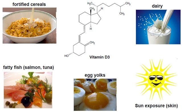 Vitamin D Sources