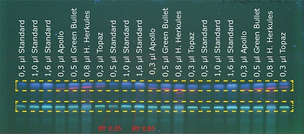 Figure 1c: Detection of bitter hop at 366 nm