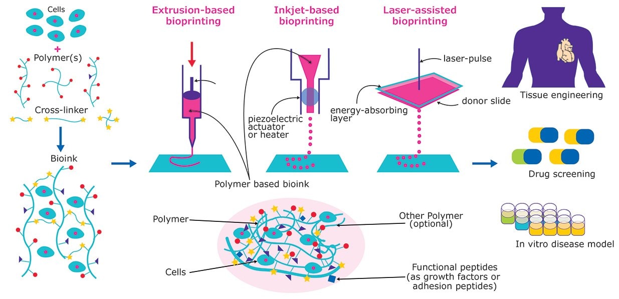 3D Bioprinting of tissue and organs