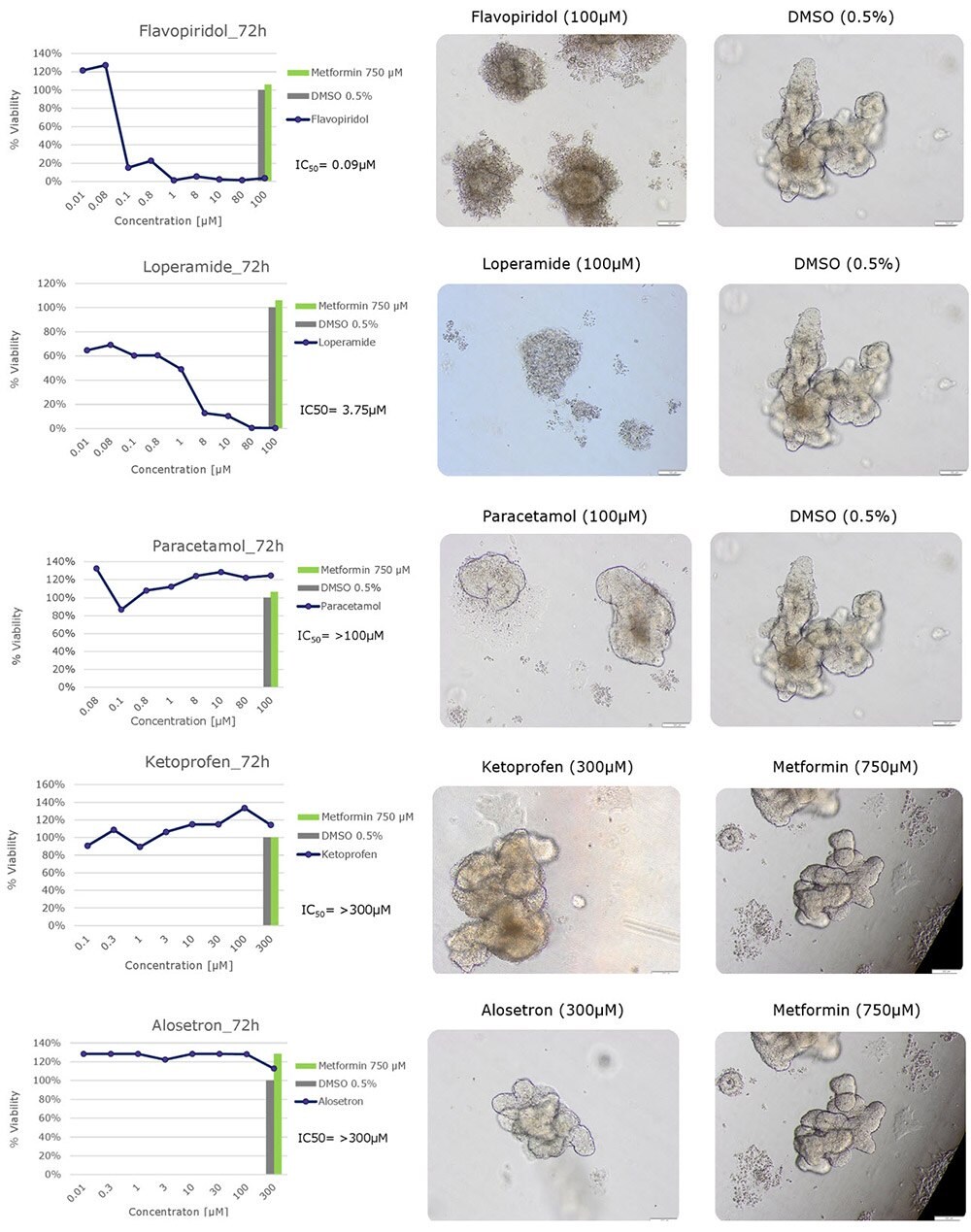 Cytotoxicity testing of drug compounds using human colon organoids. Cytotoxic effects of five compounds (flavopiridol, loperamide, paracetamol, ketoprofen and alosetron) on human colon organoids using the CellTiter-Glo® 3D Cell Viability Reagent. 