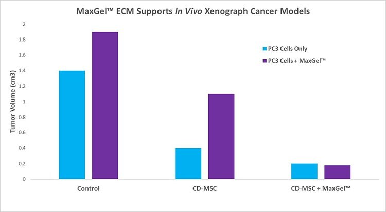 MaxGel™ ECM support in vivo xenograph cancer models.