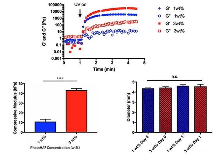 Physical properties of photocrosslinked hydrogels