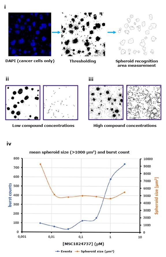 Spheroid killing burst assay. 