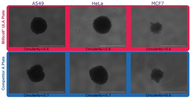 Quantification of spheroid circularity for spheroids formed in Millicell® ULA and Competitor A plates.