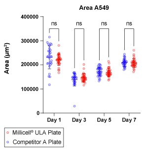 A549 spheroid formation in Millicell ULA plates over time