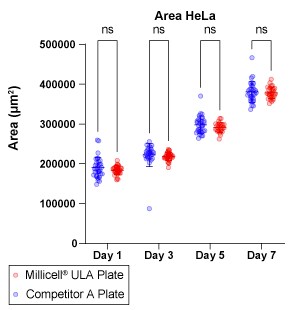 HeLa spheroid formation in Millicell ULA plates over time