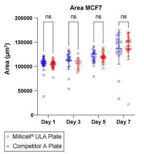 MCF7 spheroid formation in Millicell ULA plates over time