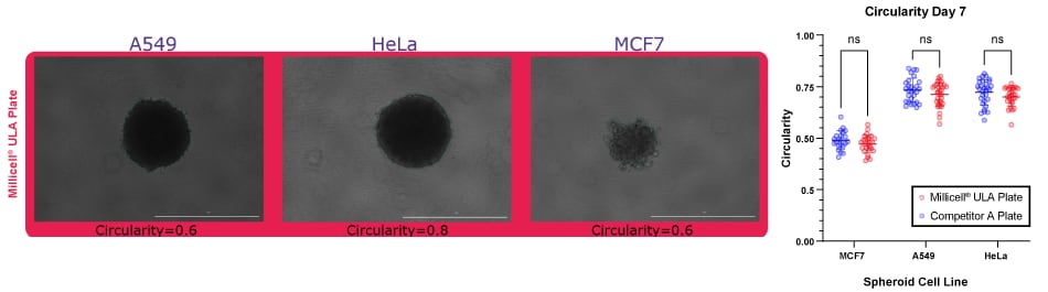 Spheroid Circularity for Spheroid Forming Cell Lines Quantification of spheroid circularity for spheroids formed in Millicell ULA plates