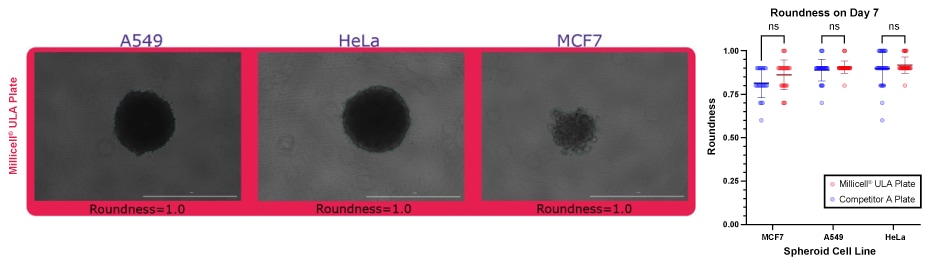 Spheroid Roundness for Spheroid Forming Cell Lines Quantification of spheroid roundness for spheroids formed in Millicell ULA plates