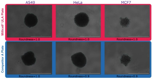 Quantification of spheroid roundness for spheroids formed in Millicell® ULA and Competitor A plates.