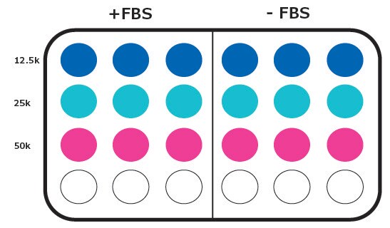 Plate layout for seeding density optimization in cell migration assays