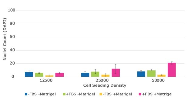 MCF7 Quantification of migrated cells in cell culture inserts