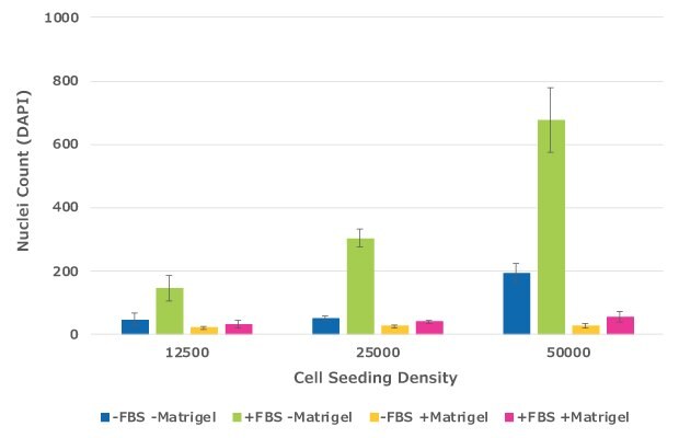 Quantification of migrated cells in cell culture inserts