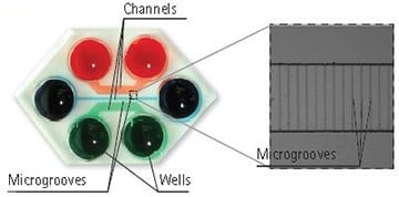 图示Plasma-bonded AXIS®装置