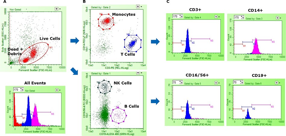 Representative data from multi-color flow cytometry analysis on human PBMCs Representative data from multi-color flow cytometry analysis on human PBMCs. (A) 2D plot - Live cells (Red) are distinguished from debris/dead cells (Green) by forward vs. side scatter.