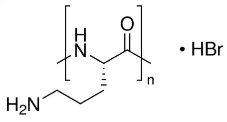 Poly-L-ornithine chemical structure