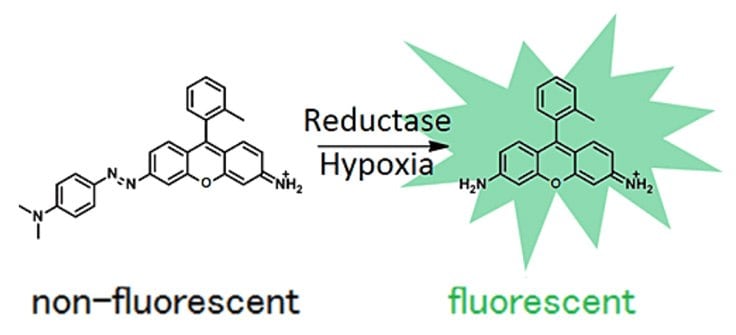 BioTracker hypoxia dye mechanism.