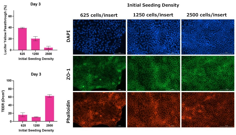 TEER readings of MDCK II cells grown in Millicell® 1.0 μm clear inserts