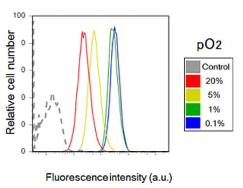 Hypoxia detection using flow cytometry.