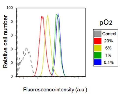 Hypoxia detection using flow cytometry.