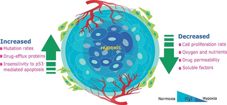 The hypoxic tumor microenvironment