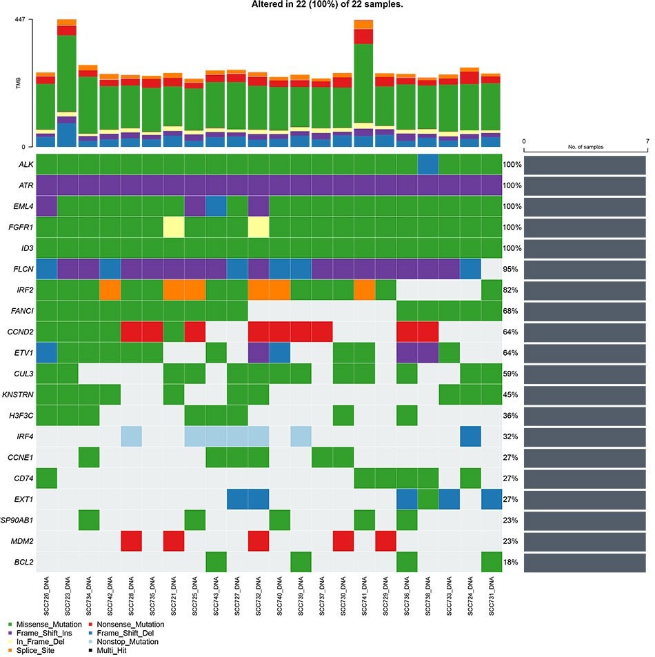 Chart with the mutation on the y axis and the organoid product number on the x axis. Different colors represent different mutation types.
