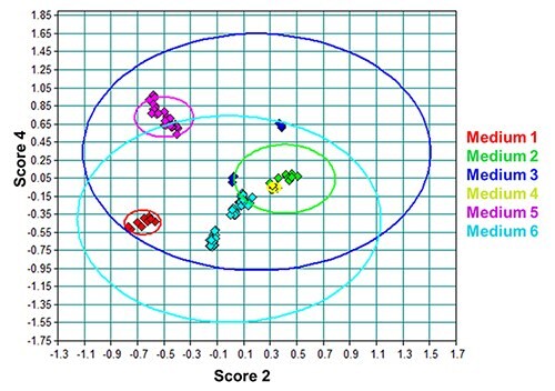 PCA scores plot of the DPM lot spectra from all media evaluated. The ovals are the 95% confidence intervals for that particular medium. Media 3 and 6 have very large confidence intervals because of polymorphism. Media 2 and 4 are indistinguishable because of the lack of sensitivity to differences in low mass percent raw materials. PCA scores plot of the DPM lot spectra from all media evaluated.