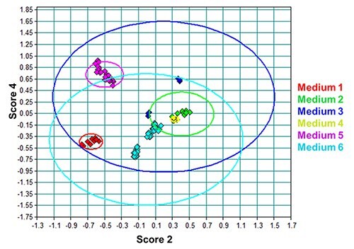 PCA scores plot of the DPM lot spectra from all media evaluated.