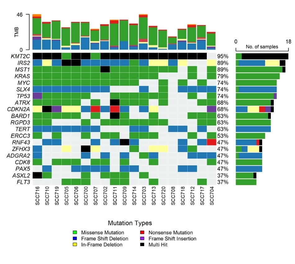 Chart with the mutation on the y axis and the organoid product number on the x axis. Different colors represent different mutation types.