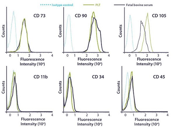 <strong>FACS surface marker analysis of hMSCs cultured in PLTMax<sup>®</sup> vs. FBS in bioreactor cultures</strong>. hMSCs cultured in 5% PLTMax<sup>®</sup> or 10% fetal bovine serum (FBS) media conditions retained their stem cell identity with cell-surface antigen expression positive: CD73, CD90, and CD105 negative: CD11b, CD34 and CD45. FACS surface marker analysis of hMSCs