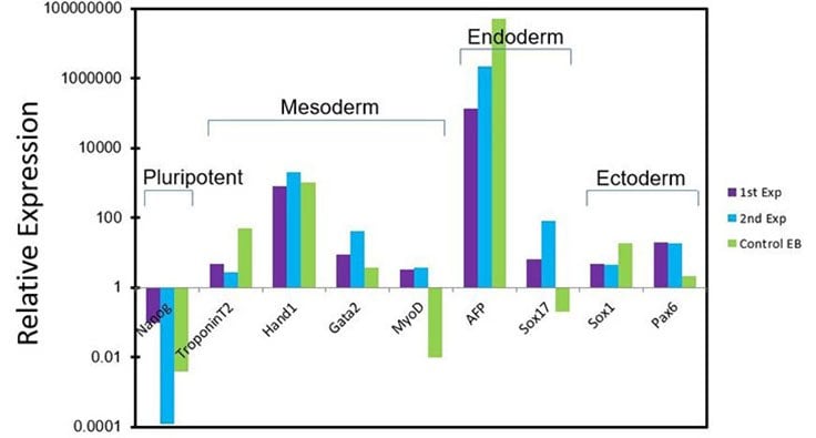 In vitro differentiation of pluripotent stem cells cultured in PluriSTEM™ media