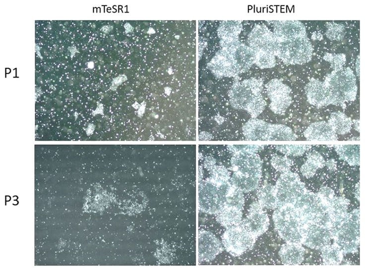 PluriSTEM™ media supports single cell passaging of pluripotent stem cells in vitro