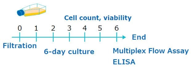 Workflow for T cell culture measurements Experimental timeline for T cell culture media preparation, cell count, and IL-2 cytokine measurement