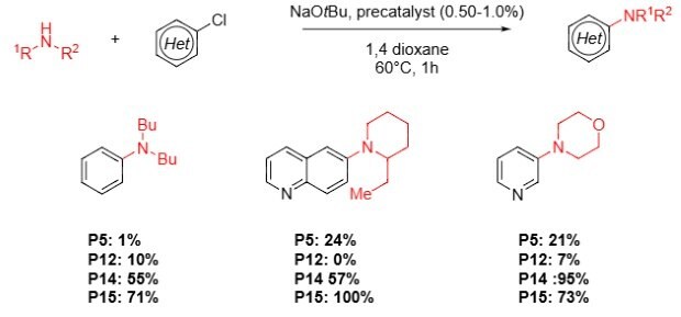Buchwald Hartwig Amination with Alkyl Amines and N Heterocycles A chemical reaction diagram illustrating the Buchwald-Hartwig amination of alkyl amines with various heterocycles. The diagram includes reactants, conditions (NaO tBu, precatalyst, 1,4-dioxane, 60°C for 1 hour), and yields for different products (P5, P12, P14, P15) with percentages listed below each product structure.