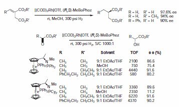 Scheme 8