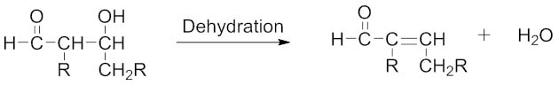 脱水/消除反应