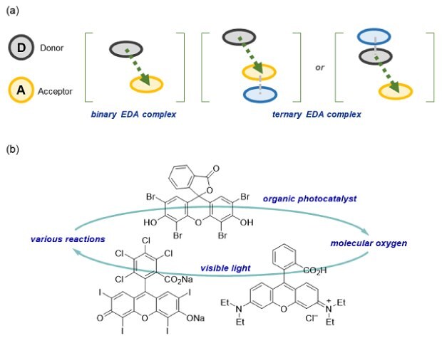 Green approaches for the development of mild, visible-light-mediated reactions An illustration demonstrating two green approaches (a) catalyst free reactions (b) organo-photocatalysis, for the development of mild, visible-light-mediated reactions.