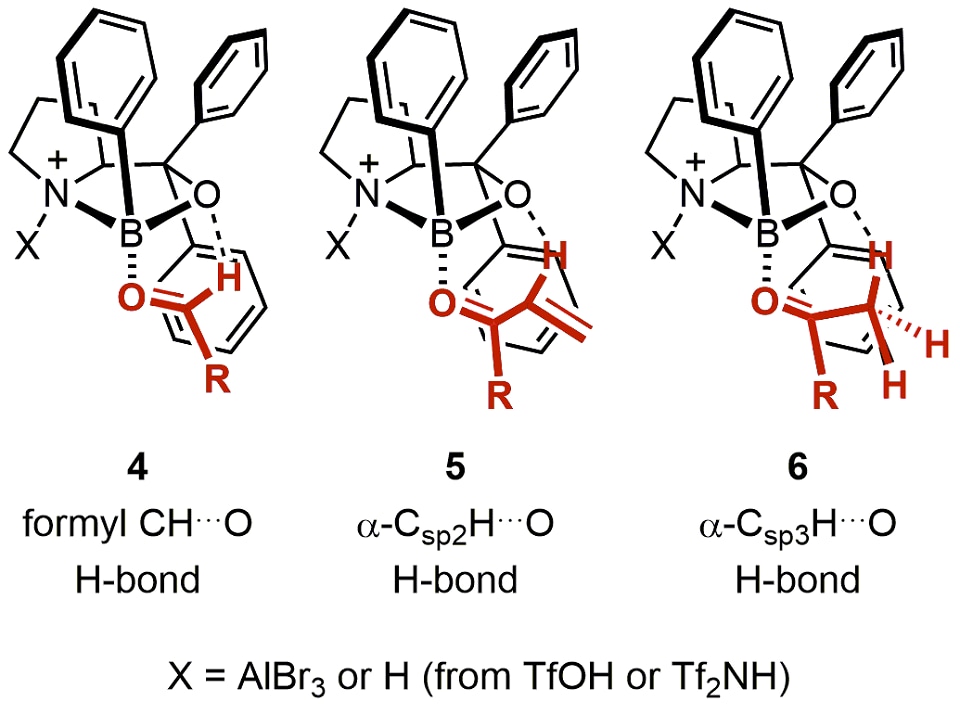 Pretransition-state assembly models of the COBI catalysts with carbonyl compounds